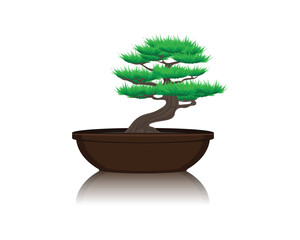 vector design of an ornamental plant or small tree similar to a bonsai tree with green leaves planted in a dark brown potted container