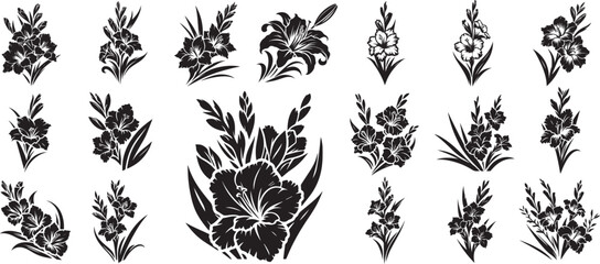gladiola gladiolus flower, vector black - obrazy, fototapety, plakaty