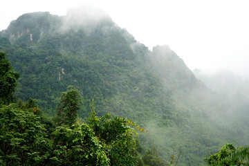 Jungle landscape, in Southeast Asia
