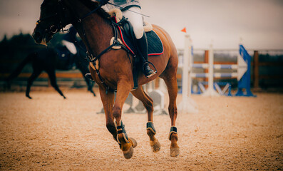 A beautiful sorrel horse is galloping at a showjumping competition. Equestrian sports and horse...