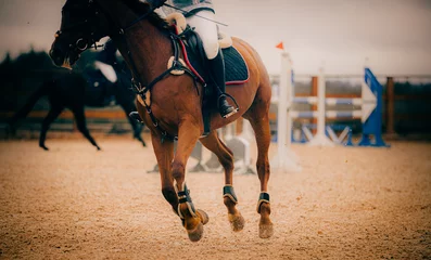 Fotobehang A beautiful sorrel horse is galloping at a showjumping competition. Equestrian sports and horse racing. ©  Valeri Vatel