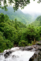 Jungle landscape, in Southeast Asia
