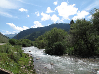 the mountain river flows from the mountains