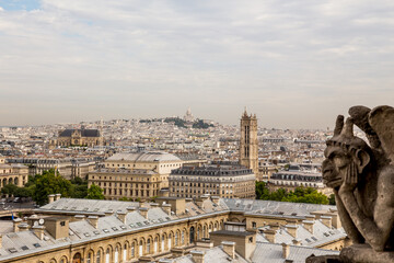 Panorama of Paris from Notre Dame Cathedral