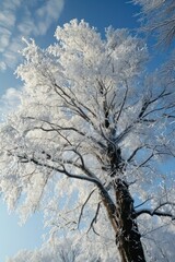 Fototapeta na wymiar a tree covered in snow