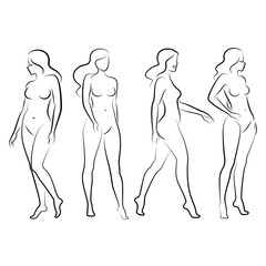 Silhouette of a nice lady, she is standing. The girl has a beautiful naked figure. The woman is a young sexy and slender model. Vector illustration.