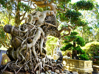 The crazy house in Vietnam, da lat city