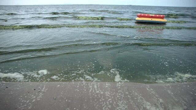 A view of green sea water caused by plankton bloom known to kill marine life, at Bang Saen beach in Chonburi, Thailand . February 28, 2024. 