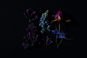 colorful flower arrangement in purple herbarium still life of spring wildflowers