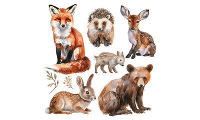 Watercolor forest animals and nature elements isolated clipart set