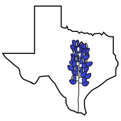 Texas State Flower Bluebonnet