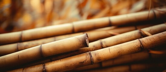 A close-up view of a cluster of dry bamboo stalks, showcasing their intricate textures and patterns. The photo captures the details of the bamboo sticks, displaying their natural beauty up close.