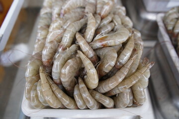 Crustaceans are invertebrate animals of the subphylum Crustacea a large, diverse group of mainly aquatic arthropods including decapods (shrimps, prawns, crabs, lobsters and crayfish). Fortaleza-Brazil