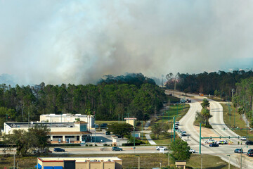 Aerial view of strong wildfire burning severely in North Port city, Florida. Natural disaster during dry season in jungle woods