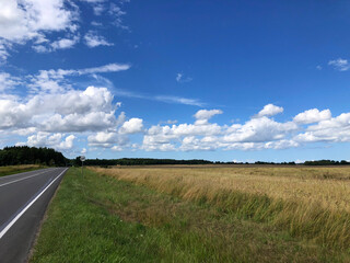 Fototapeta premium Field, forest, road, in summer