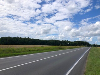 Field, forest, road, in summer