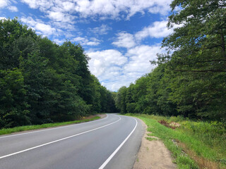 Field, forest, road, in summer