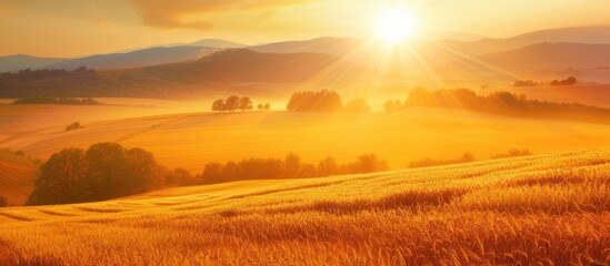 The sun is descending below the horizon, casting a golden hue over the wheat field. The sky is illuminated with warm colors as darkness gradually envelops the landscape.