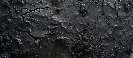 Fotobehang black soil with clay © gacor