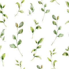 Watercolor seamless pattern of meadow wild herbs. Hand painted plants illustration isolated on green background. For design, print, fabric or background. - 748299587