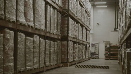 Storage corridor with endless packed boxes of goods. Creative. Concept of worldwide sales.