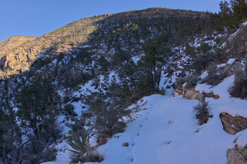 Snow covered cliff trail of Waldron Canyon at Grand Canyon AZ