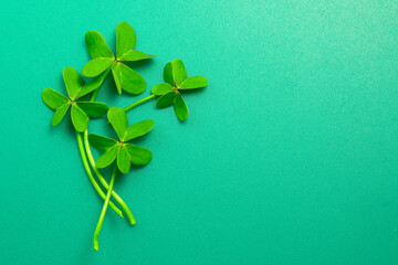 St. Patrick's Day green background decorated with shamrock leaves. Irish Patrick Day pub party celebrating. Abstract Border art design backdrop. Widescreen clovers  with copy space. Top view, flat lay