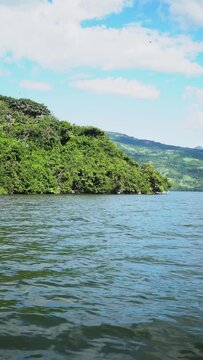 Vegetation surrounded by birds flying in Sumidero canyon in Chiapas, Mexico.