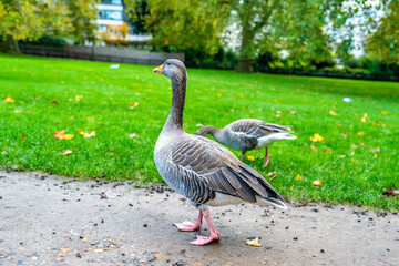 london, uk