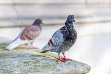 london, uk