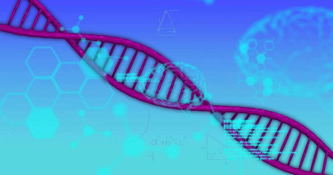 Animation of medical data processing over dna on blue background