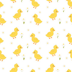 Seamless pattern with cute funny yellow ducklings and chamomile. Vector pattern with cartoon ducks and flowers on white background.