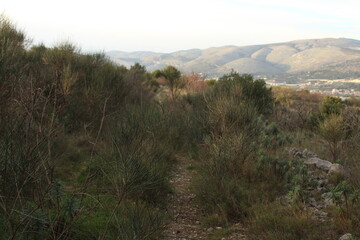 Beautiful Nature Landscape Wild Nature