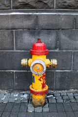 Fire Hydrant in Winter with Graffiti