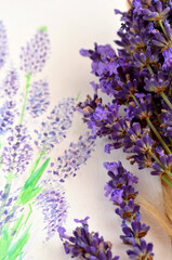 Naklejka premium fresh purple lavender flowers and painted flowers close up