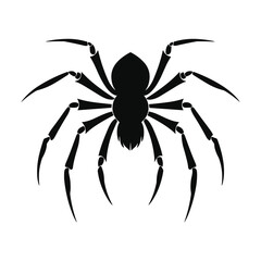 Spider black Silhouette vector.