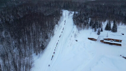 Aerial view of long line of people walking into winter forest. Clip. Exploring frozen winter nature, concept of adventure.