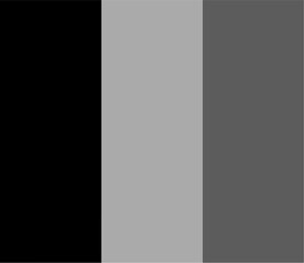 Belgium flag original black and white