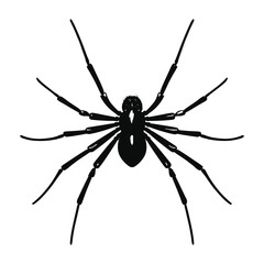 Spider black Silhouette vector.