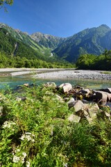 信州 上高地の夏景色　