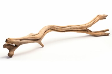 Driftwood Stick Isolated, Sea Wood Branch, Drift Wood