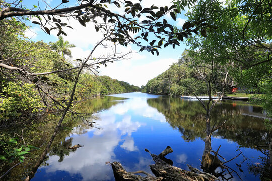 Beautiful Long Lake, a fresh water lake in Hugh Taylor Birch State Park located steps away from the Atlantic Ocean on A1A, in Fort Lauderdale, Florida, USA.
