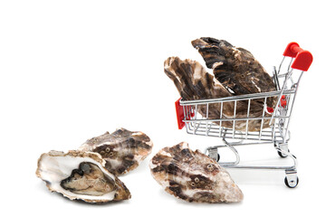 Fresh oysters in supermarket shopping cart isolated on a white background. Procurement of seafood.	