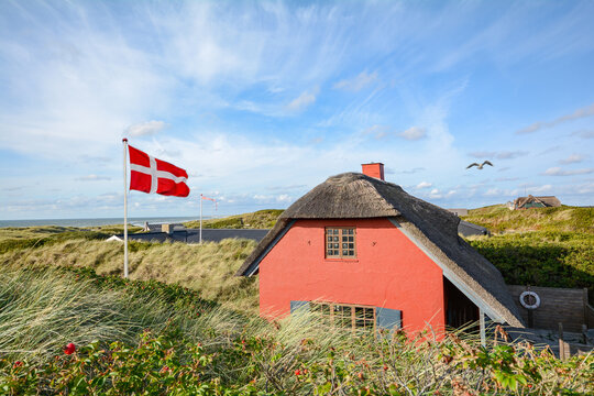 Dune landscape at the North Sea with holiday homes near Henne Strand, Jutland Denmark Scandinavia