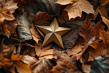 a gold star on a pile of leaves