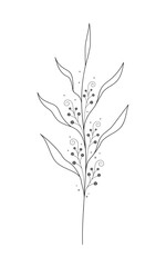 Abstract stylized branch wildflower doodle style. Sketch plant. Elegance vector illustration in minimalist style for tattoo art, flyer, template card.