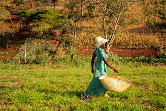 Black woman walking in a field holding a basket