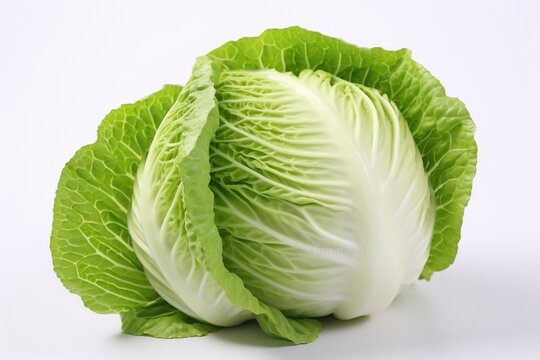 Peking cabbage harvest  it is also Chinese cabbage  or petsai  or salad assembled and packed