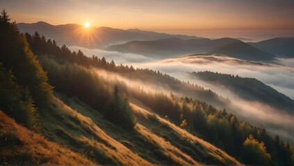 colored sunrise in forested mountain slope with fog. misty carpathian landscape