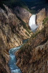 Yellowstone falls 8520